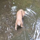 수원 예능인 노동조합 | 둥이, 25년 졸업생 취업 현황, kmi 채용검진, ZARA 봄 옷 후기, 딸기 봄동 대패 삼겹살 비빔밥 레시피