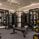 트리짐 트리태닝 이미지