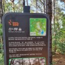 💠11월19일 서울대공원 산림욕장길 이미지