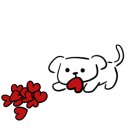 제일 그루밍샵 이미지