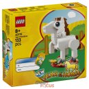 인피니트코리아(Infinite Korea) 이미지