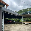 영암흑염소 이미지