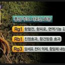 베스트건강식품 - 동해시 중앙로 237 | 베스트건강식품