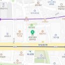 미르국제여행사 이미지