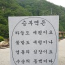 11월 2일/ (토요일) 경북 봉화 ( 승부역 트레일 길) 걷기 이미지