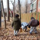 박달2동-2 | 안양어린이집 아이들이 행복하게 자라는 박달어린이집 후기