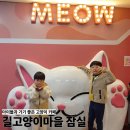 희망장애인보호작업장 화장실 | 길고양이 마을 잠실, 아이들과 함께 가기 좋은 서울 힐링 카페