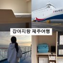 호룸 | 제주도 목포 배편 퀸제누비아호2 애견동반 펫스위트룸 후기