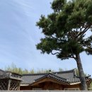 산청 가볼만한 곳, 남사예담촌