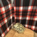 냥냥댕댕 이미지