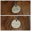 A dog's (어독스) | 따뜻하고 감동적인 영화 베일리 어게인 A Dog&#39;s Purpose 정보, 소개, 출연진, 후기
