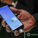 플렉스 이미지