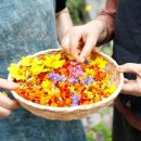 바다마을사람들 이미지