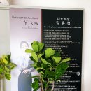김윤정의 YJ스파 청담2호점