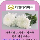 대한더라이프 이미지