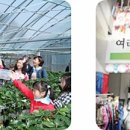 파로호느릅마을영농조합법인 이미지