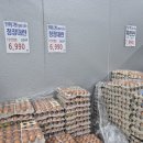 썬마트24