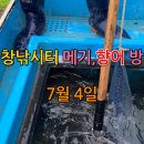 남창낚시터 이미지