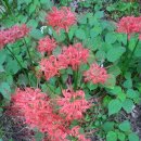 소나무회관 이미지