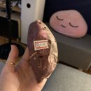 홍대게스트하우스하이디어