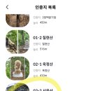 등린이도 걷기 좋은 서운산 등산 코스 완벽 정리: 청룡사에서 정상까지!