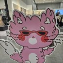 못된고양이 | AK 1층 못된고양이 리뉴얼 후 아이들 쇼핑 후기