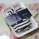 빅토리애견 이미지