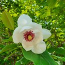 단비농장 이미지