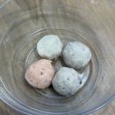 프레싯(freshet) | 강아지생선 간식 추천! 프레싯 반려견 순살 피시볼 스탠다드푸들 시월이 급여 후기