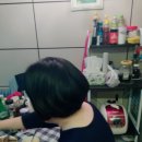 쁘띠쟈르당 네이버블로그