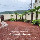 온새미르 | 부산기장단독펜션 온새미르 제주 분위기가 물씬!