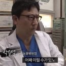 호텔 감포지 | [이탈리아] 포지타노.. 이탈리아 온 목적.. purpose.. wish.. hope.. / 개쩌는 포지 아말피 요트투어 후기