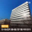 회색도시-도시이면 이미지