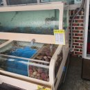 오천항 수산물판매센터 | [보령 오천항 맛집] 현지인 추천 키조개 코스요리! 오천항수산물판매센터 8호점 솔직 후기