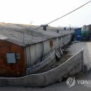 덕이축산 이미지