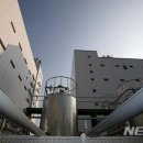 신풍제약 이미지