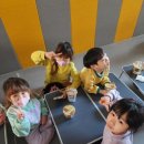 월피팀태권도장 이미지