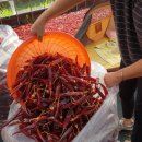 한근농장 이미지