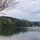 삼성전원공인중개사사무소 이미지