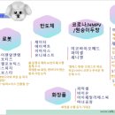 주연이앤씨