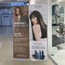 현대바로클리닉 | 목동 미용실 프랑크프로보 목동현대하이페리온2점 수민 실장님 케라스타즈 클리닉 후기