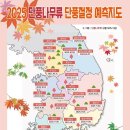 2025 단풍나무류 절정시기 이미지