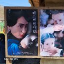 서산수선화관광농원