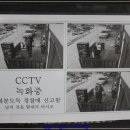 빈스인가배몽 이미지