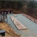 도래재별빛마을캠핑장 이미지