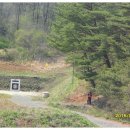 영월 금호정 이미지