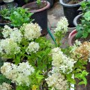 송준호농장 이미지