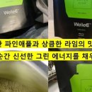 웰리코