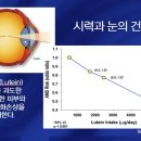 자세히 알아보는 황반부 변성(망막질환)/눈 침침해짐 (황반변성) 대책 - 면역력 강화 이미지