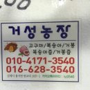 거성농장 이미지